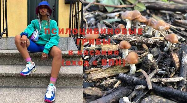 ПСИЛОЦИБИНОВЫЕ ГРИБЫ Козельск