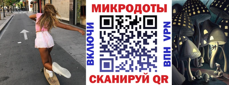 Купить закладки  Советская Гавань  Галлюциногенные грибы мицелий 